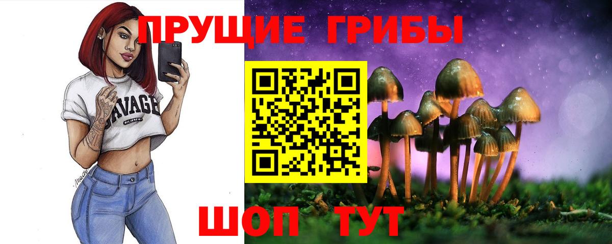 Ярцево  Псилоцибиновые грибы GOLDEN TEACHER  Вход с VPN 